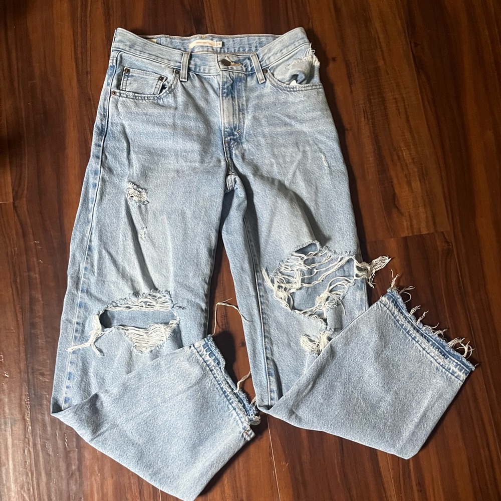 Levi’s Baggy Dad Jean Bin Day